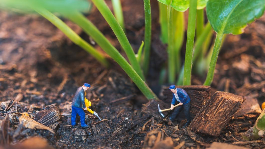 Meer groen moet ook leiden tot meer banen