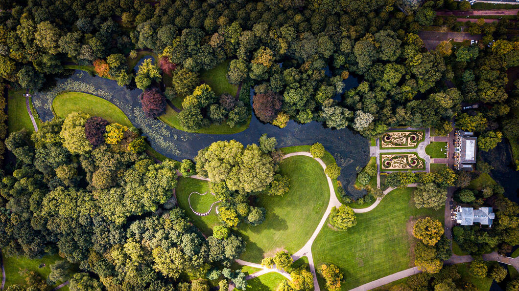 Bomen Rotterdam