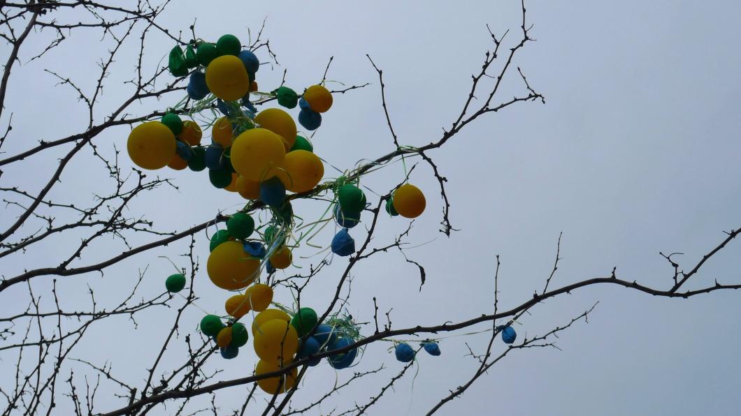 Ballonnen in natuur.jpg