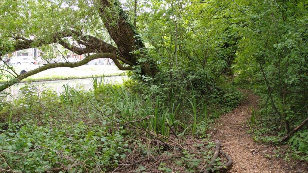 Spoortuin Rotterdam Spoortuin Essenburgpark GroenLinks Rotterdam