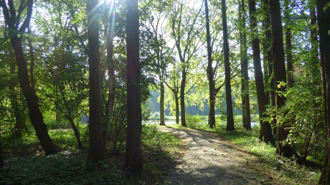 Park De Twee Heuvels Park de Twee Heuvels Rdam.jpg