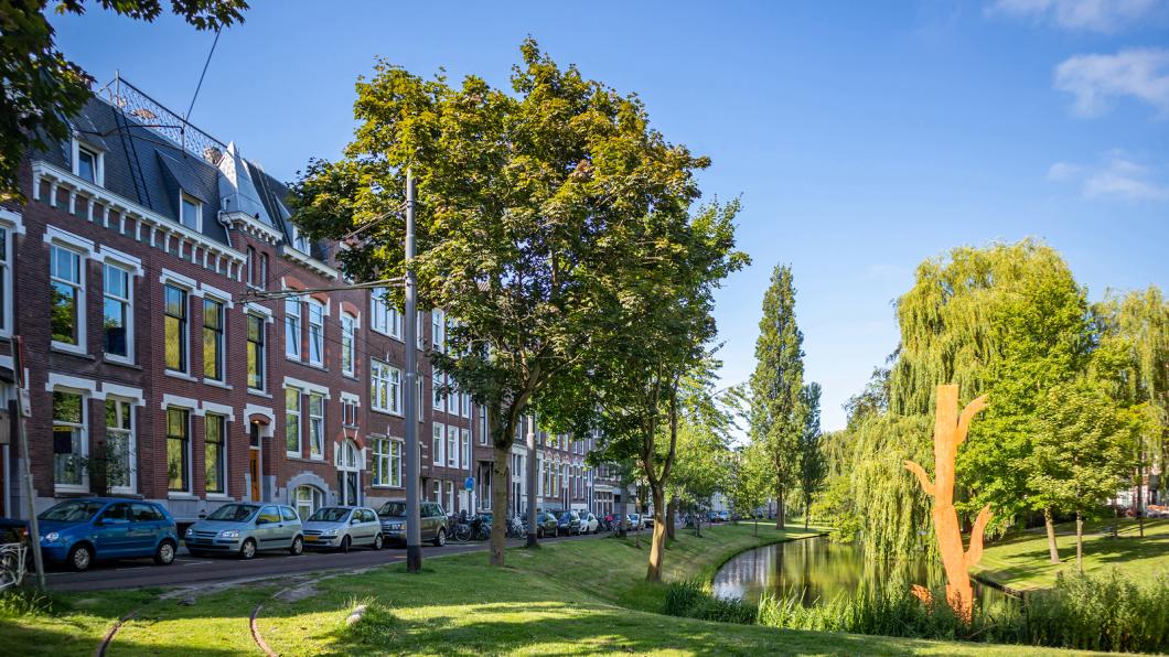 Bomen Rotterdam