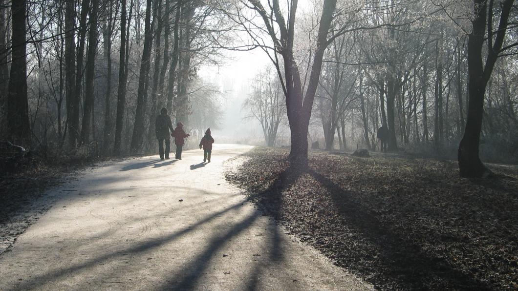 Het Lage Bergse Bos, waar de A13/A16 dwars doorheen zou komen lage bergse bos 8.jpg