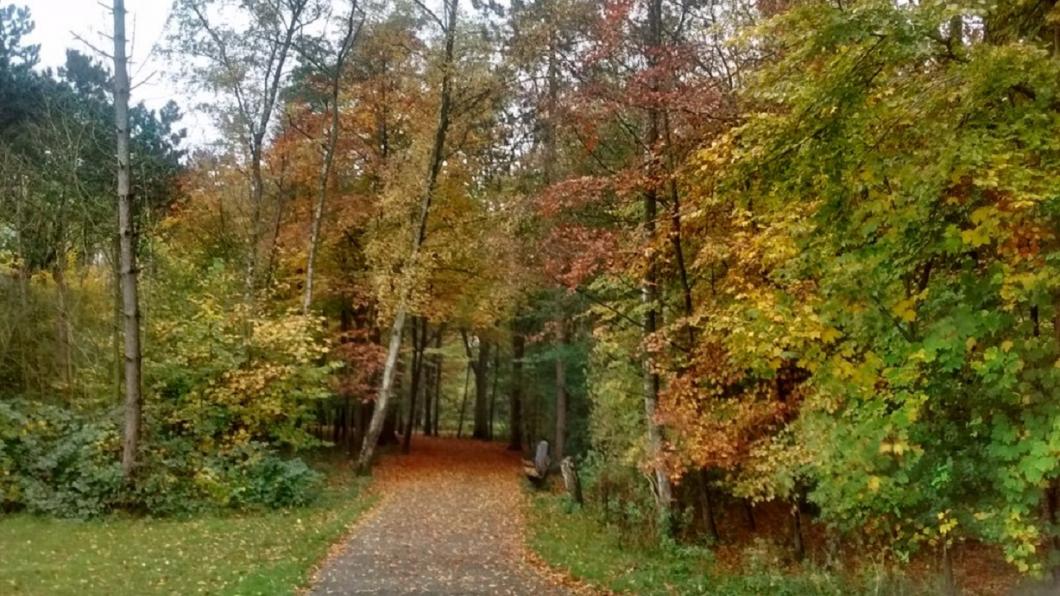 Park de Twee Heuvels Park de Twee Heuvels Ijsselmonde Judith bokhove groenlinks rotterdam harm de oude