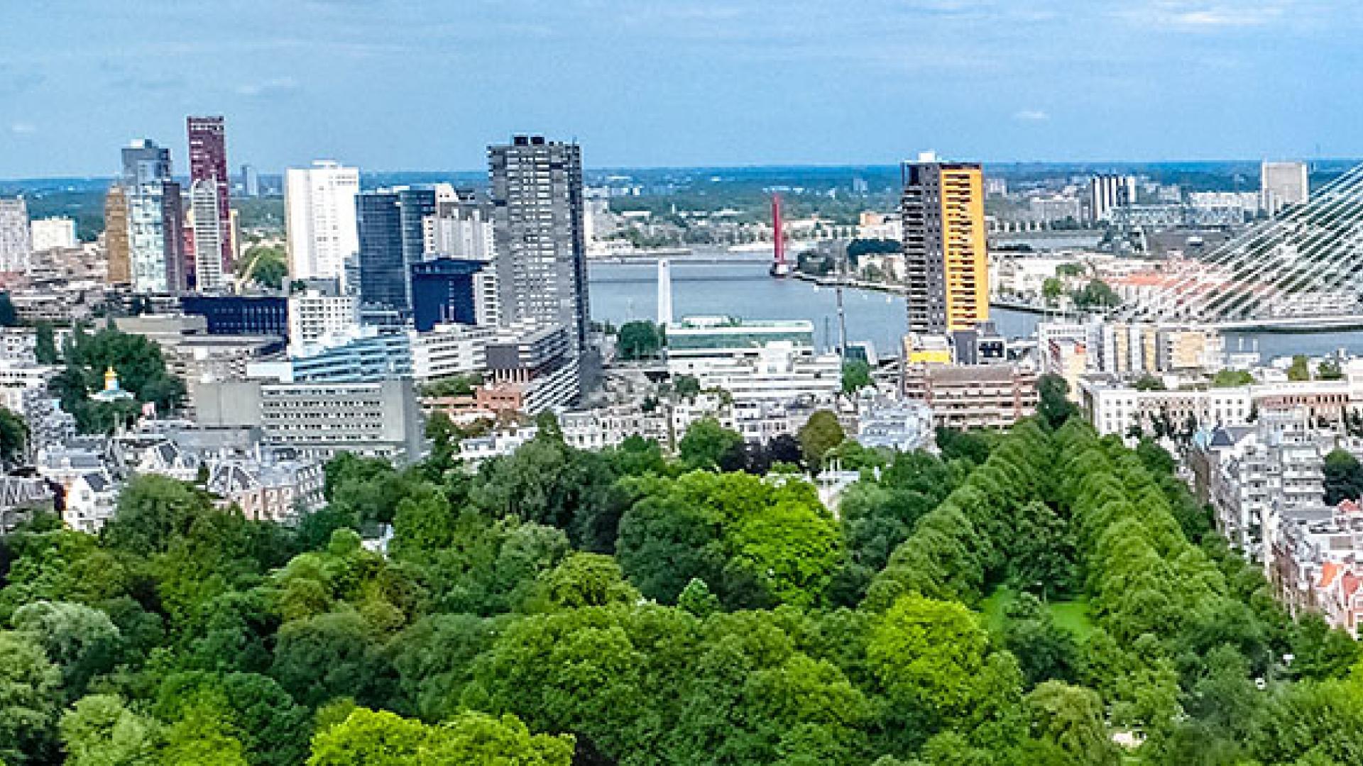 Rotterdam headerfoto standpunten.jpg